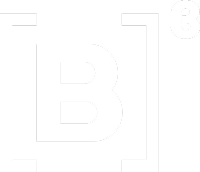 b3 1